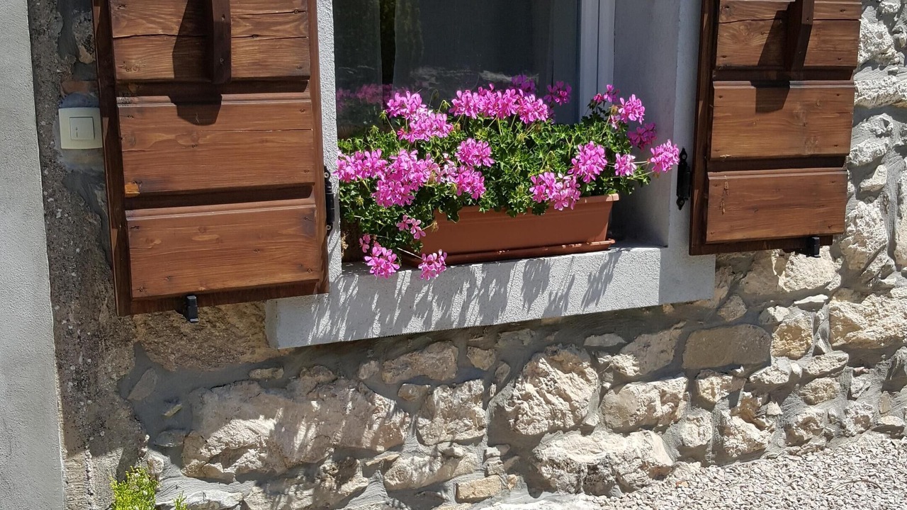 Photo of Outdoor in Lupoglav