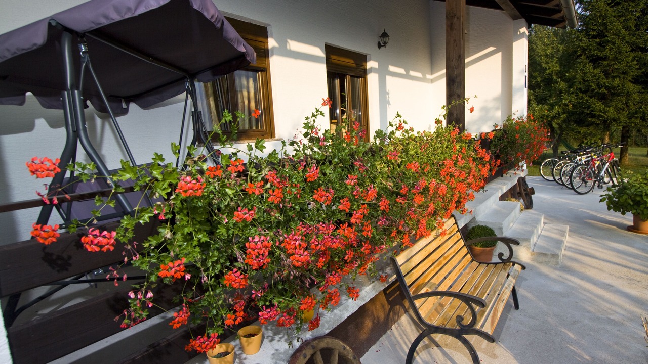 Photo of Outdoor in Rudanovac