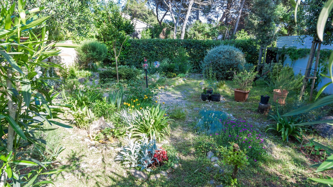 Photo of Outdoor in Molat