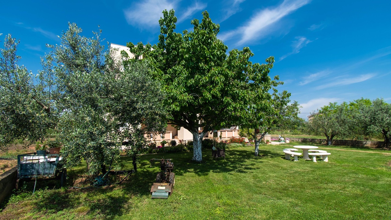 Photo of Outdoor in Privlaka