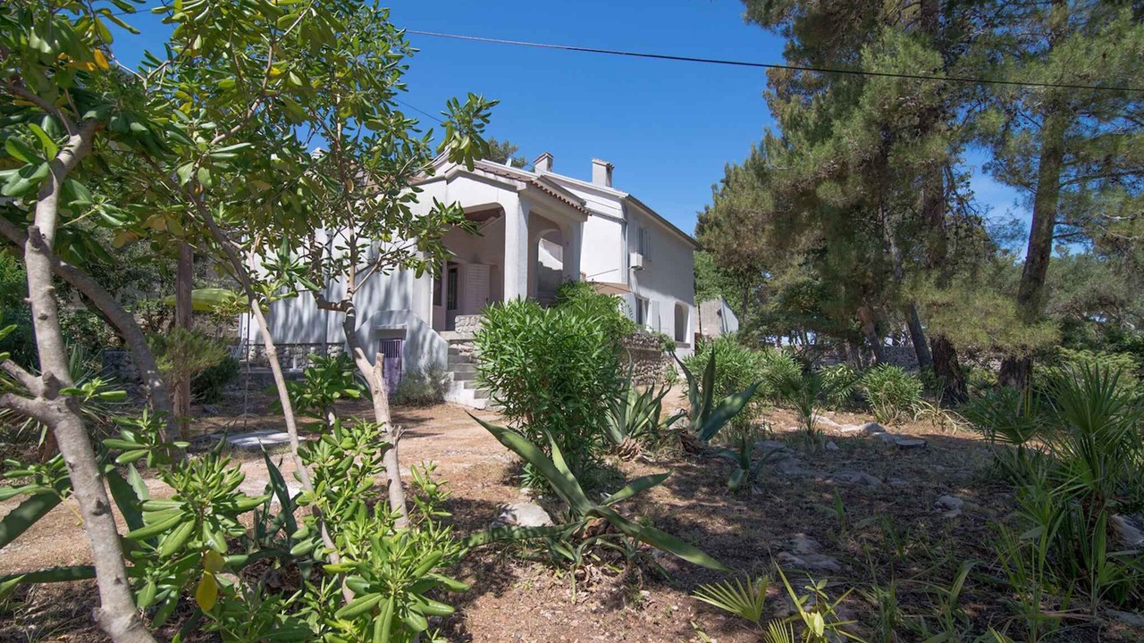 Photo of Outdoor in Veli Losinj
