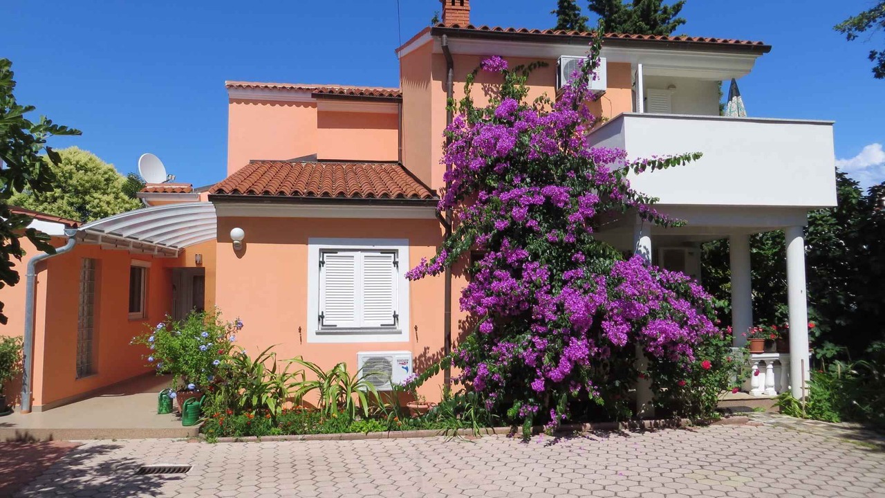 Photo of Others in Premantura