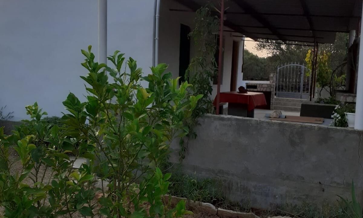 Photo of Outdoor in Vela Luka