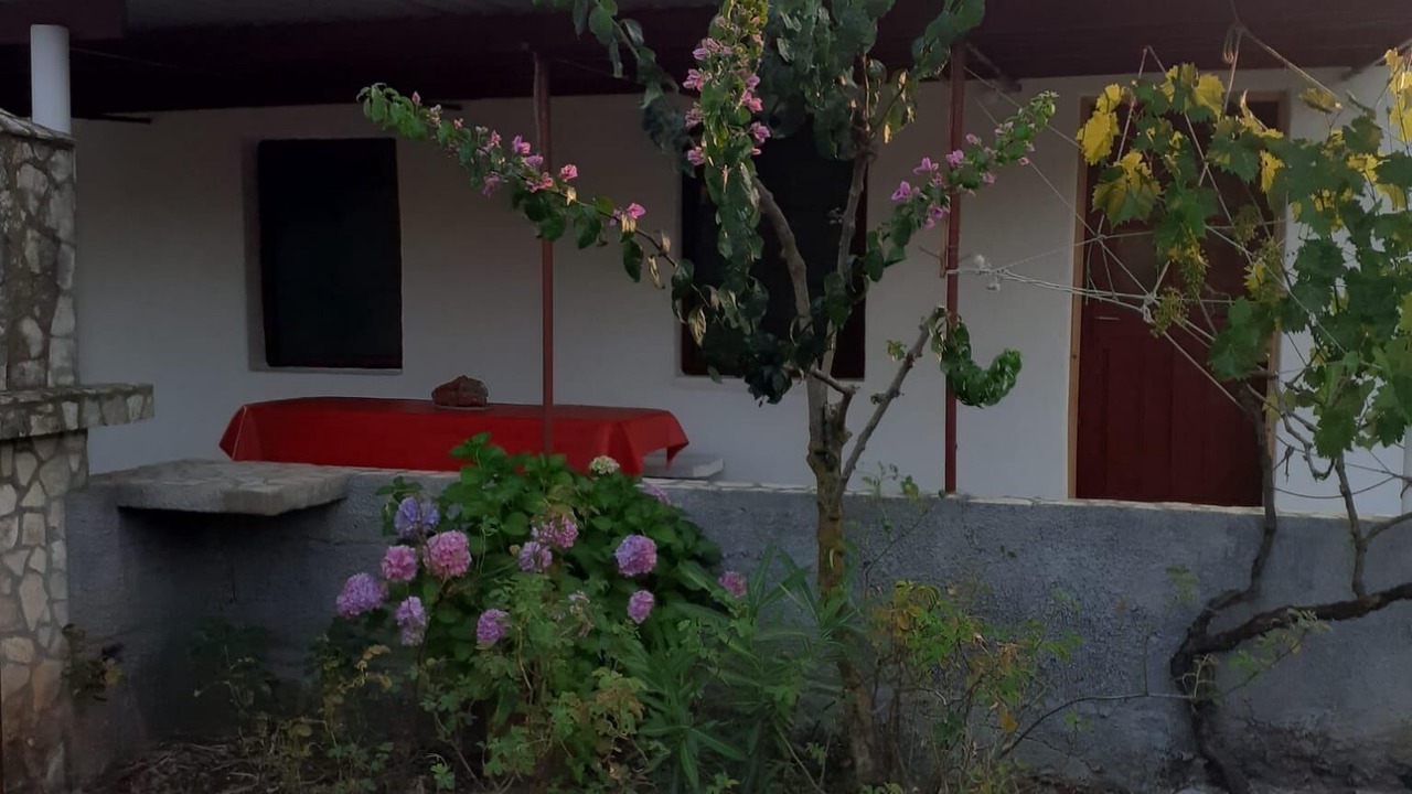 Photo of Outdoor in Vela Luka