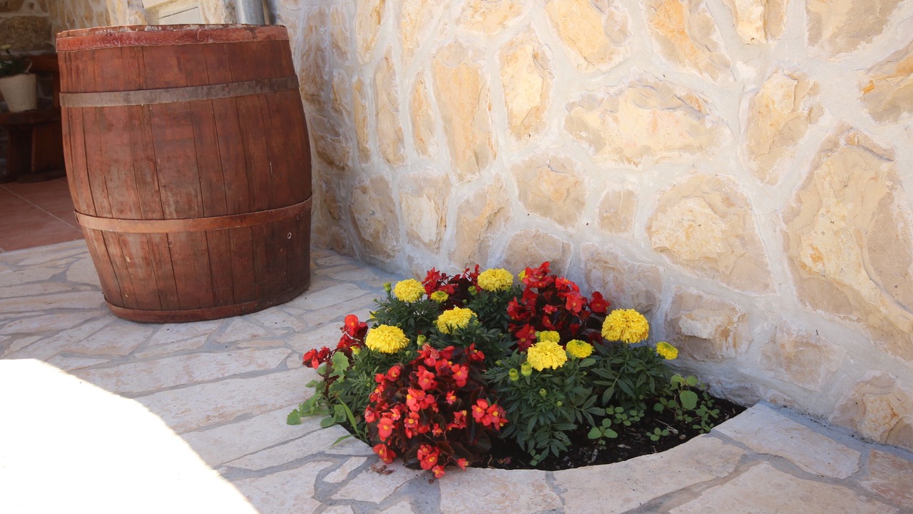 Photo of Outdoor in Ljubac