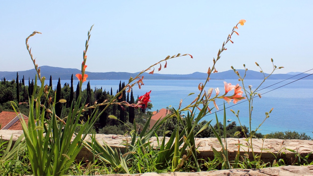 Photo of Outdoor in Krucica