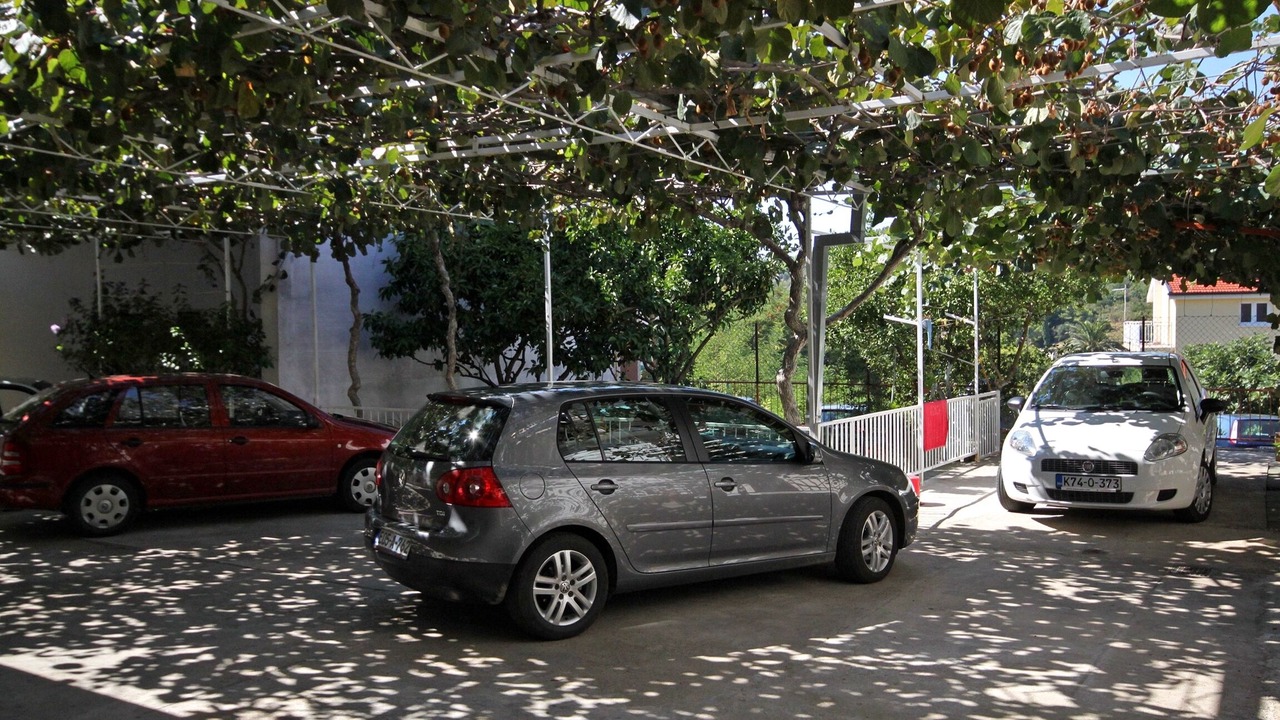 Photo of Others in Podaca