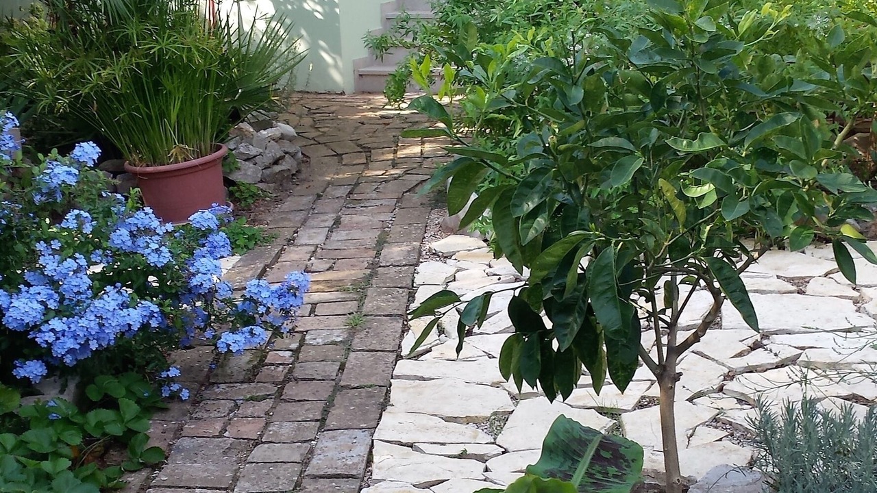 Photo of Outdoor in Nerezine