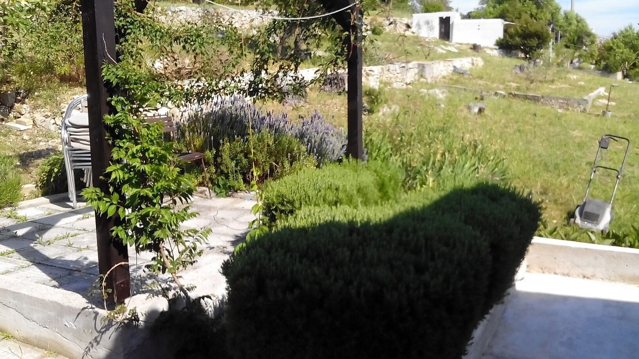 Photo of Outdoor in Prvic Sepurine