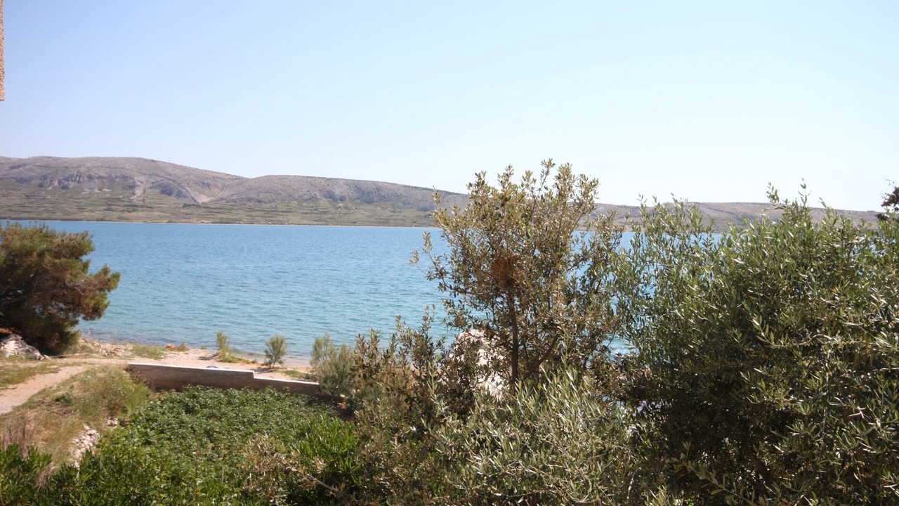 Photo of Others in Kustici