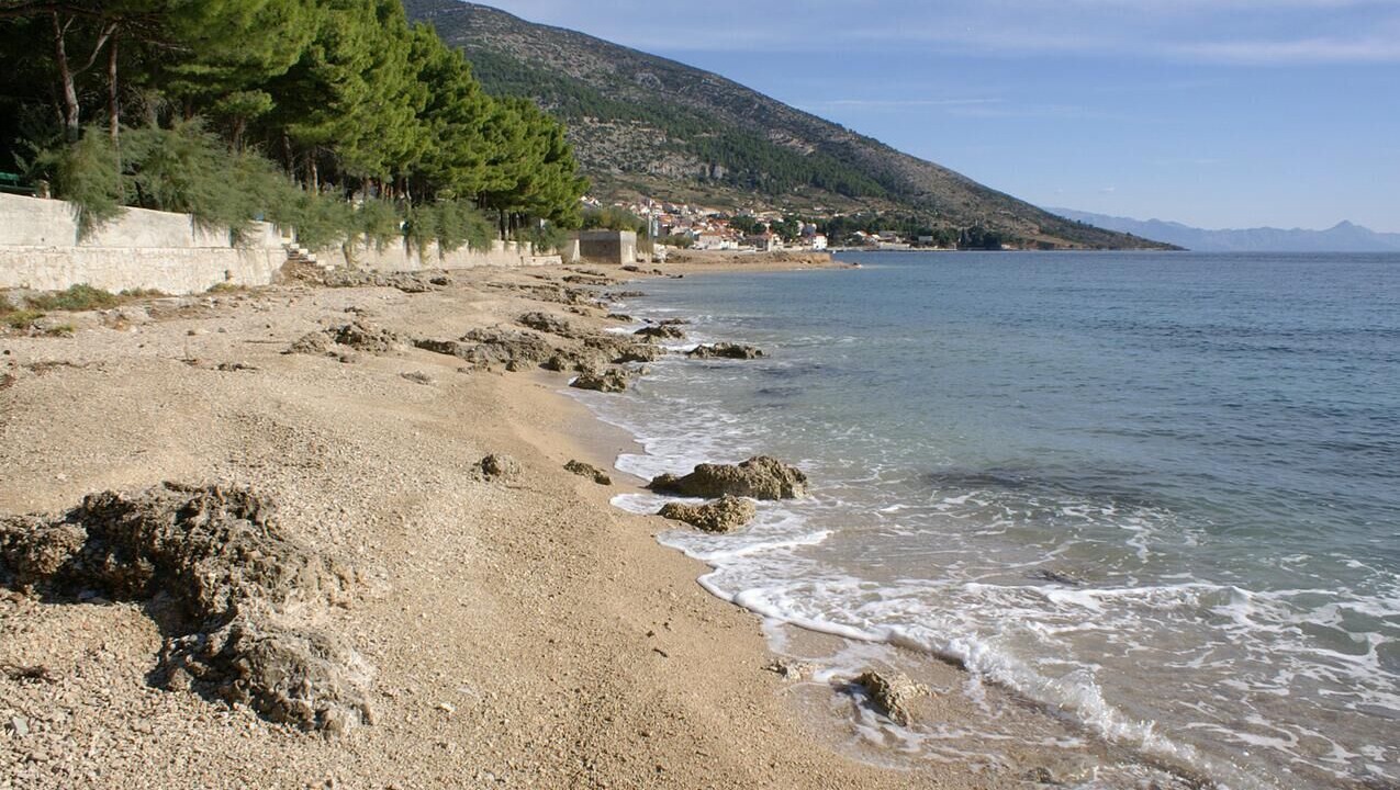 Photo of Others in Bol