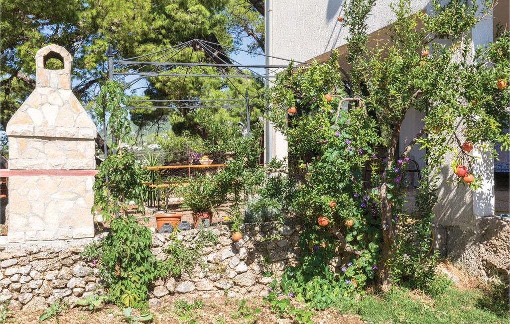 Photo of Others in Batinici