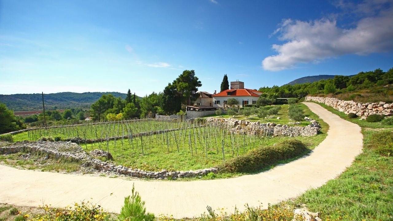 Photo of Others in Zena Glava