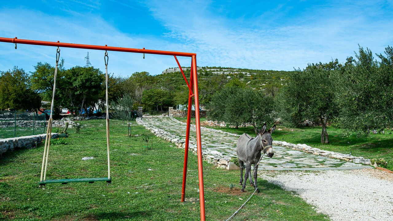 Photo of Others in Benkovac