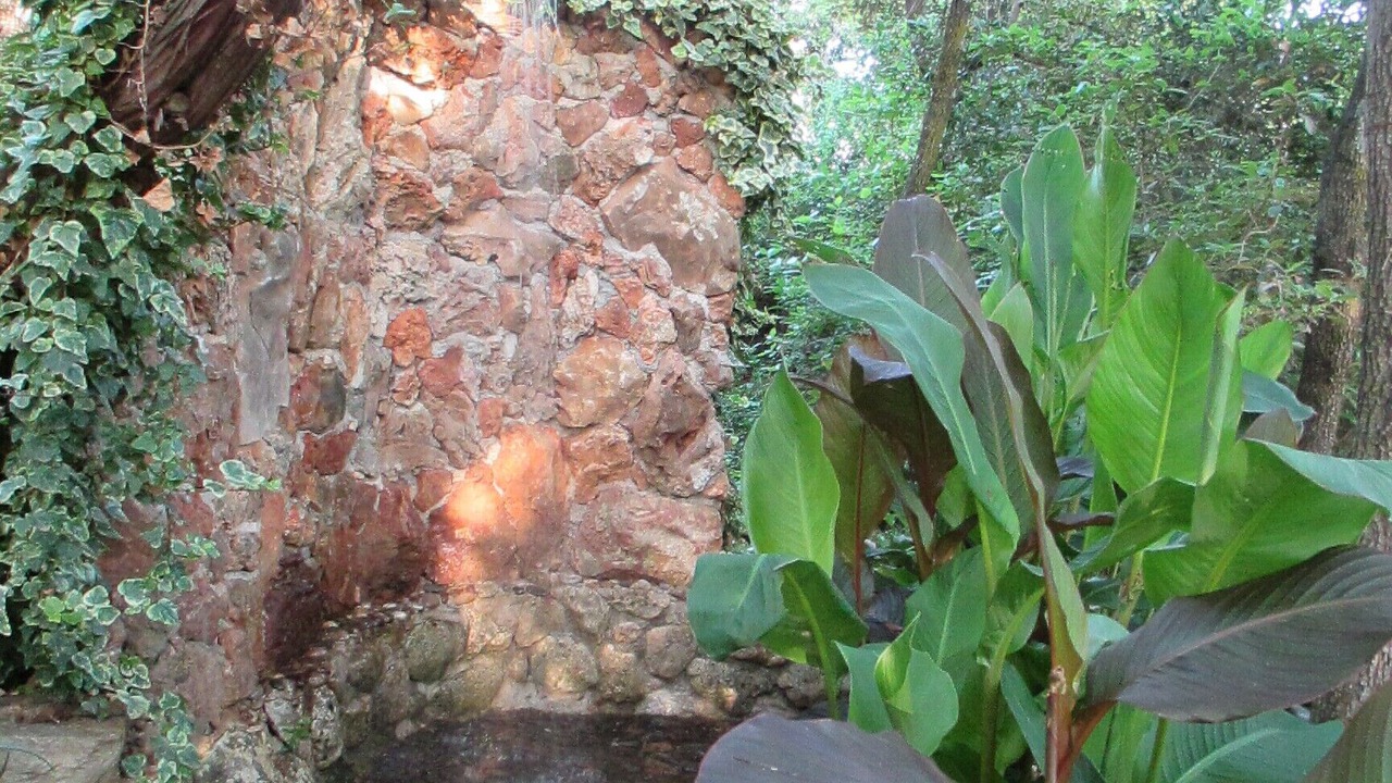 Photo of Outdoor in Zrnovo