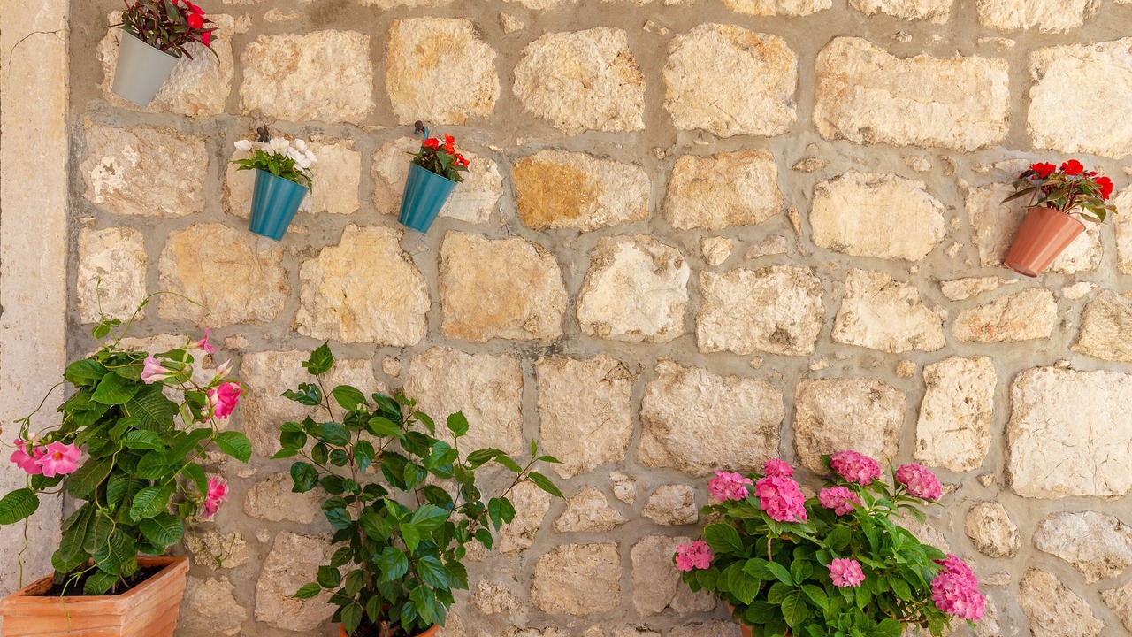 Photo of Outdoor in Trsteno
