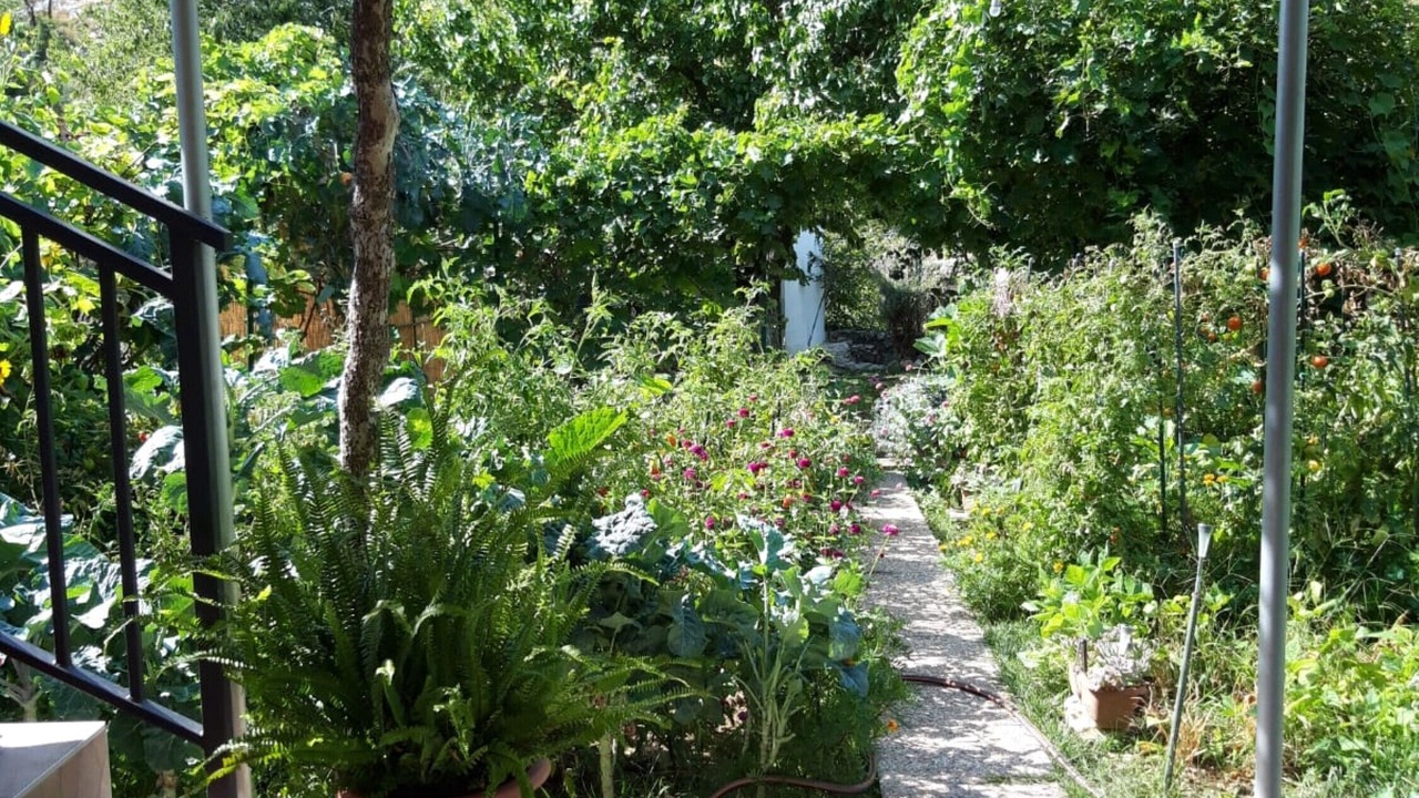 Photo of Outdoor in Zrnovnica