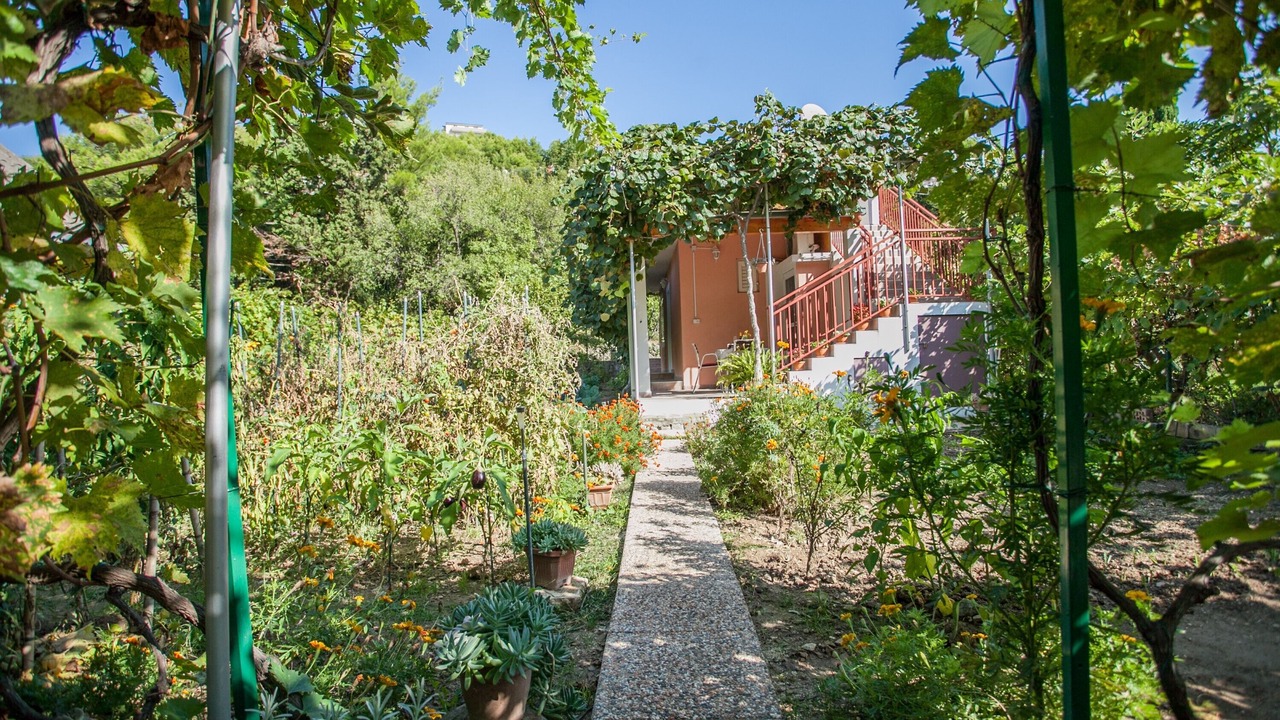 Photo of Outdoor in Zrnovnica