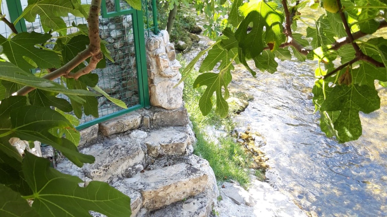 Photo of Outdoor in Zrnovnica