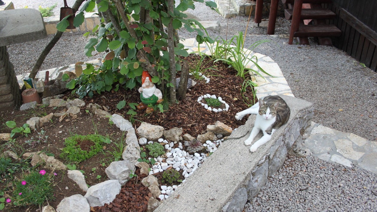 Photo of Outdoor in Lipa