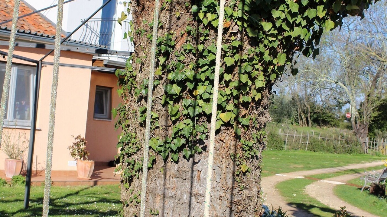 Photo of Outdoor in Marcana