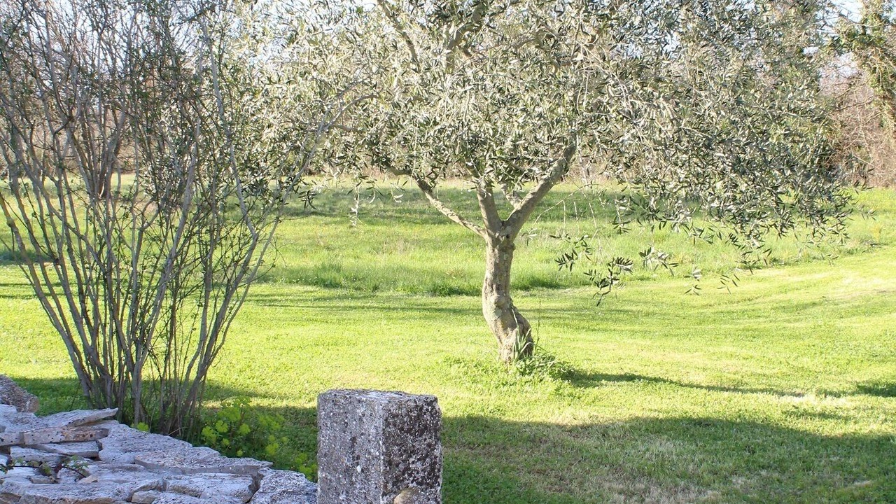 Photo of Outdoor in Marcana
