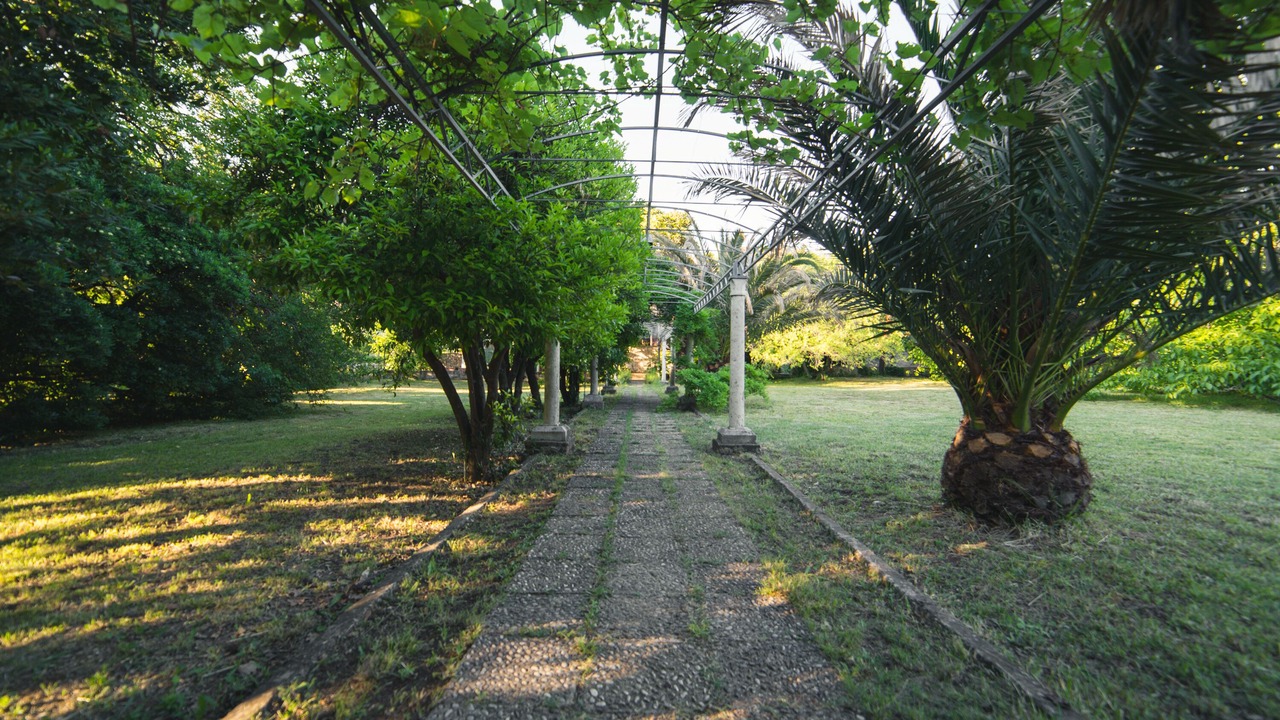Photo of Outdoor in Trpanj