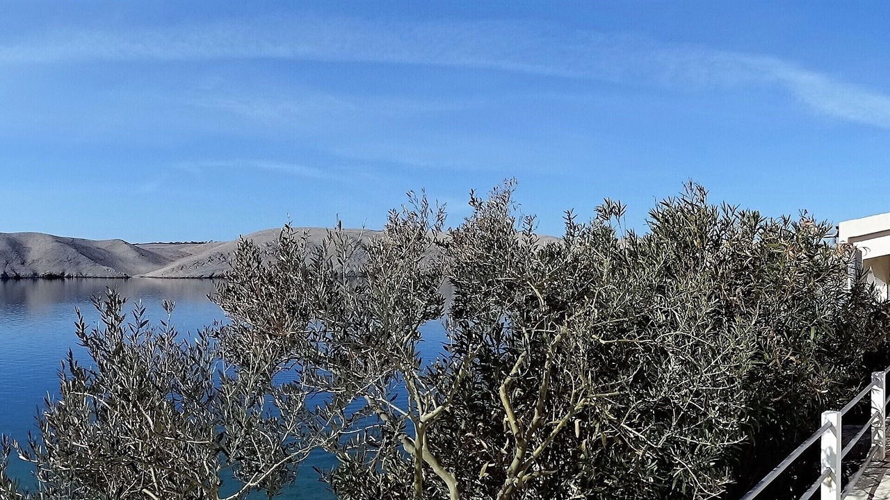 Photo of Outdoor in Miskovici