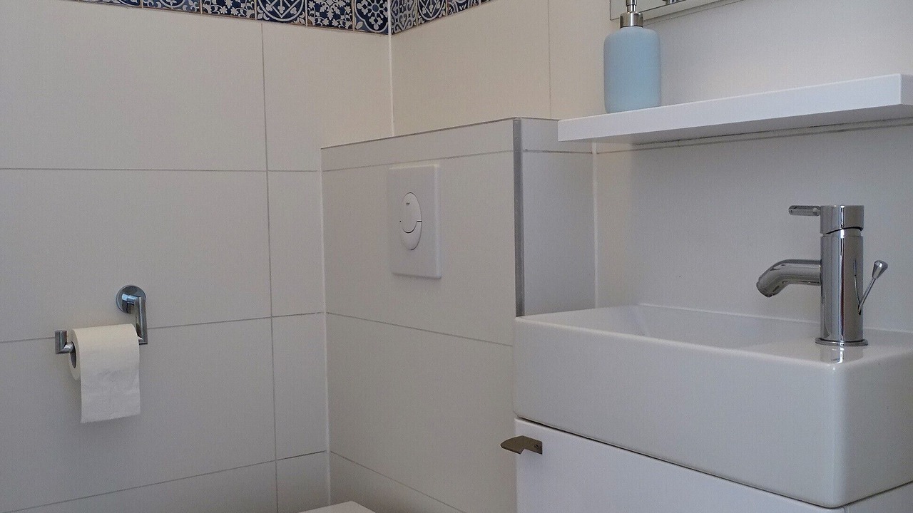 Photo of Bathroom in Miskovici