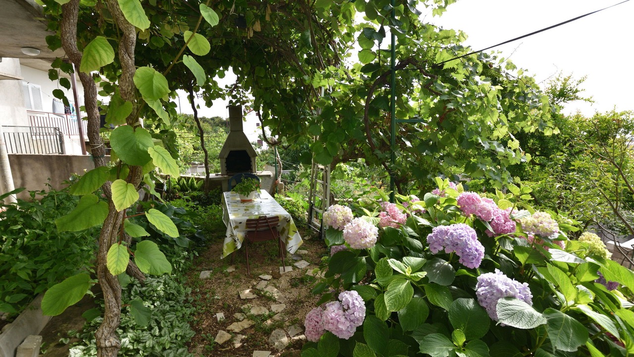 Photo of Outdoor in Primosten