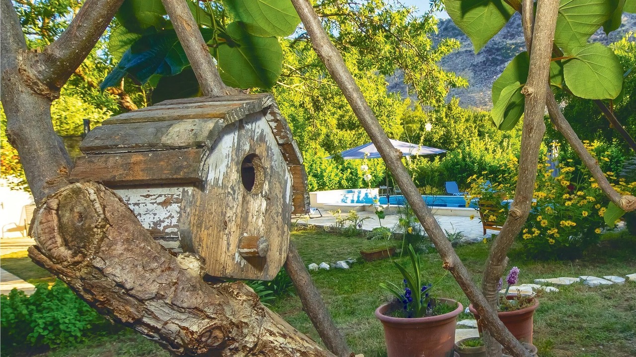 Photo of Outdoor in Zrnovnica