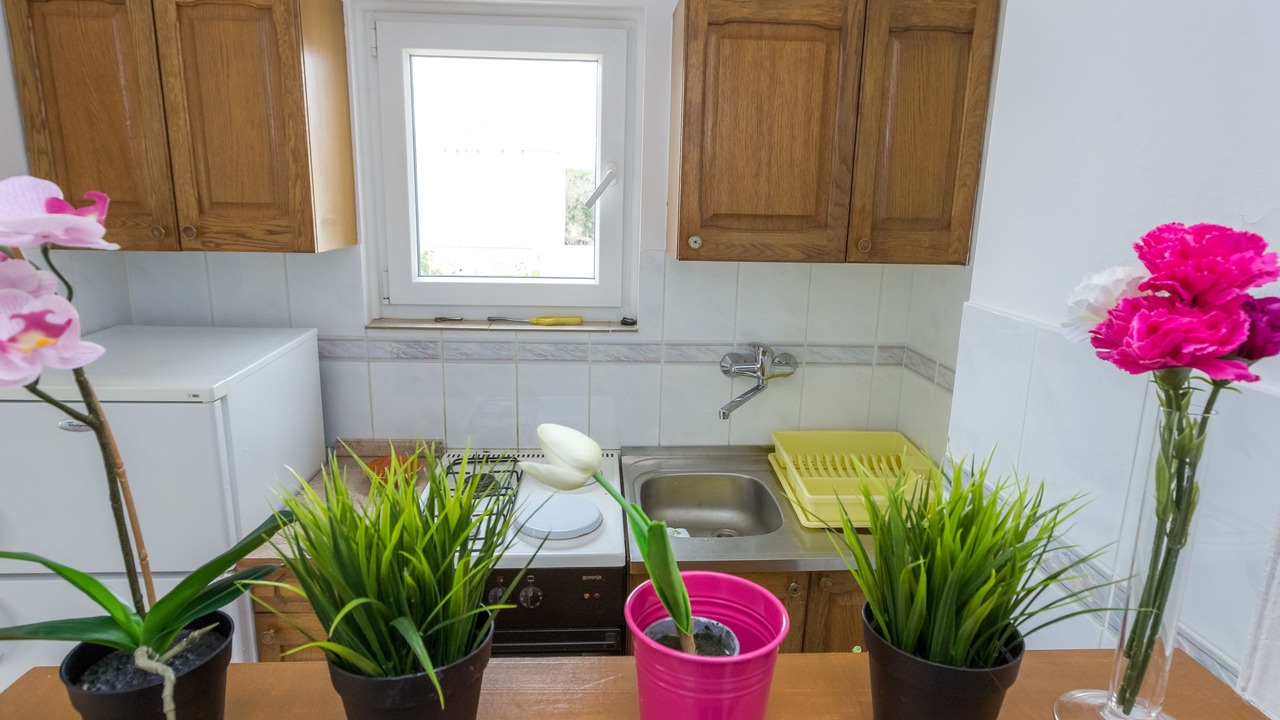 Photo of Kitchen in Novalja