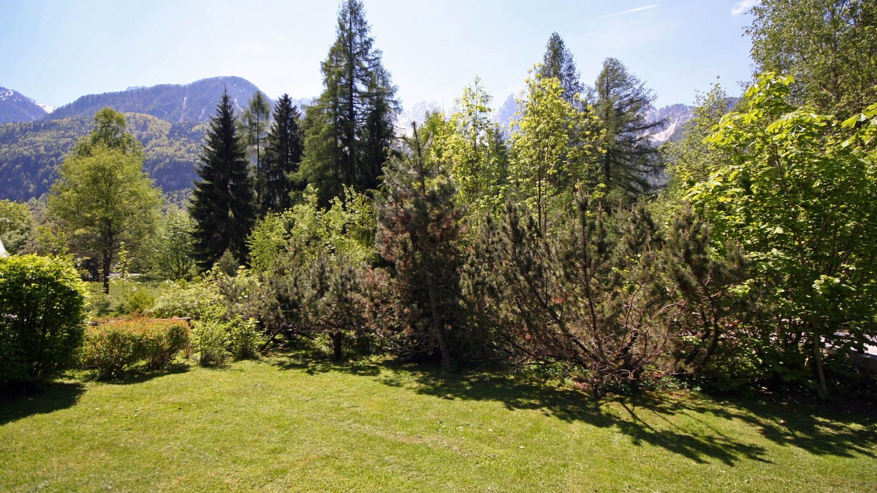 Photo of Outdoor in Gozd Martuljek