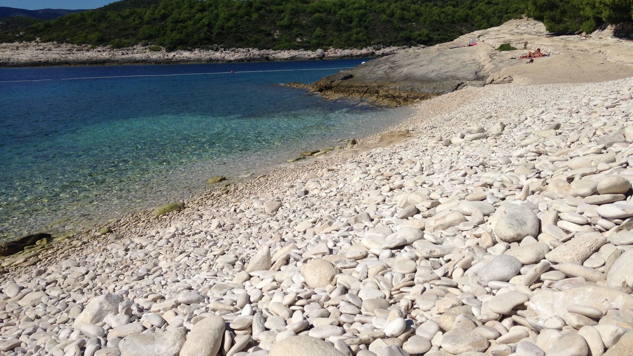 Photo of Others in Vis