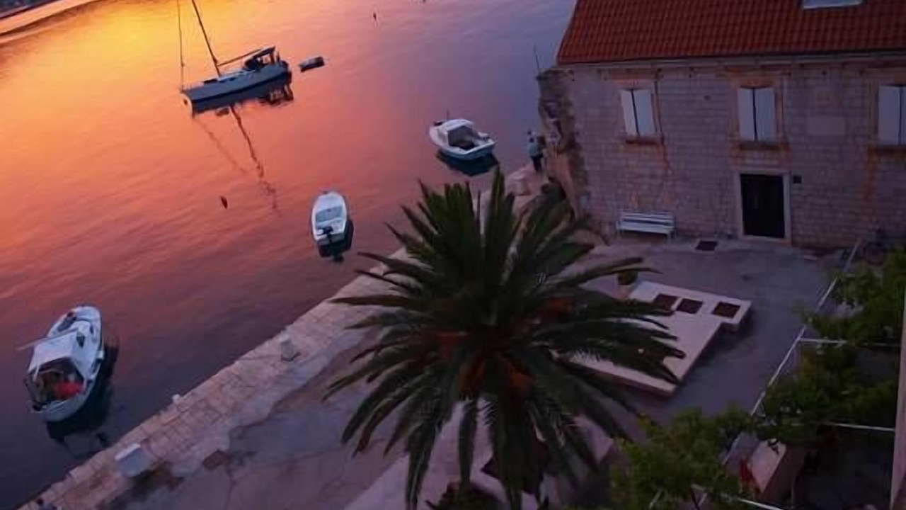 Photo of Others in Vis