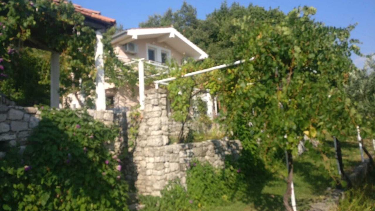 Photo of Outdoor in Popovici