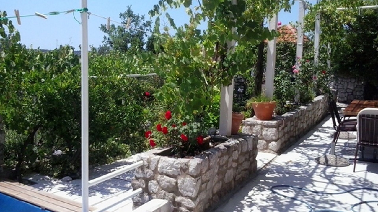 Photo of Outdoor in Popovici