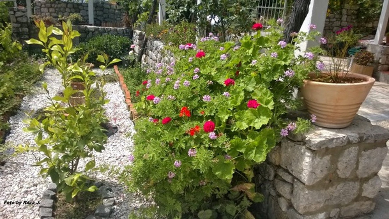Photo of Outdoor in Popovici