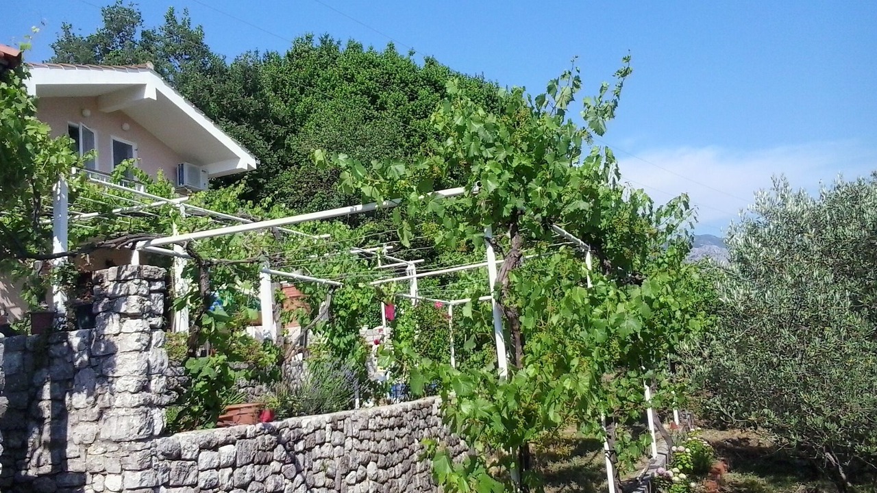 Photo of Outdoor in Popovici