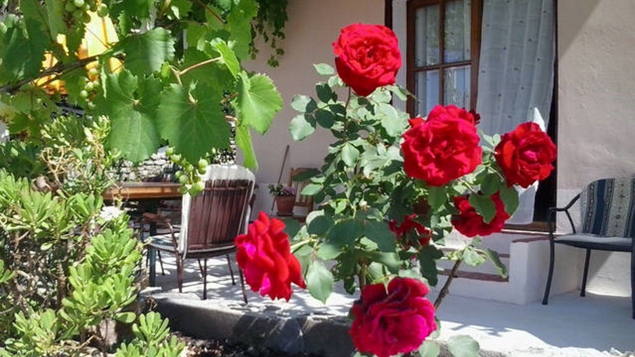 Photo of Outdoor in Popovici