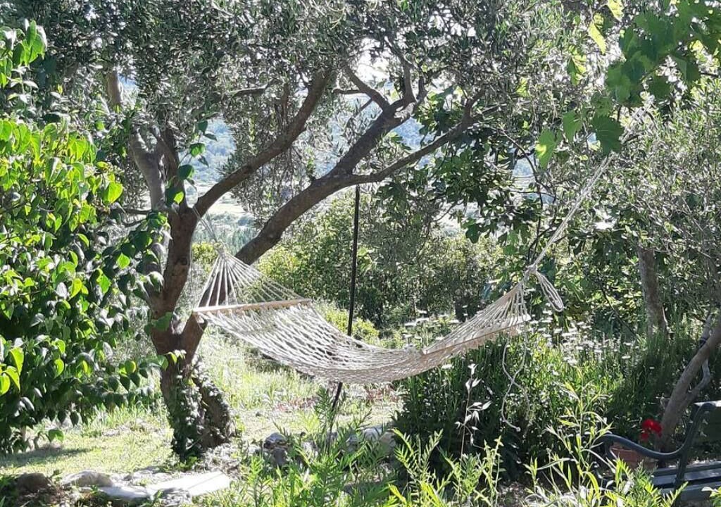 Photo of Outdoor in Popovici