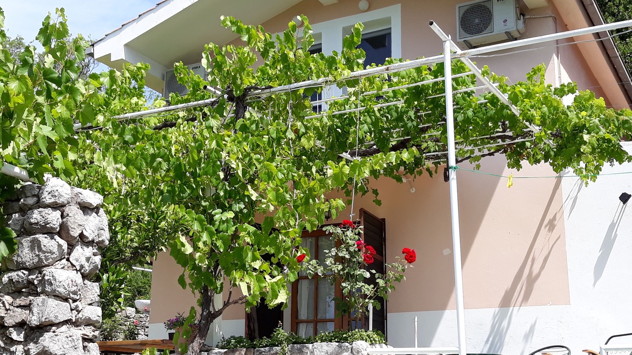 Photo of Outdoor in Popovici