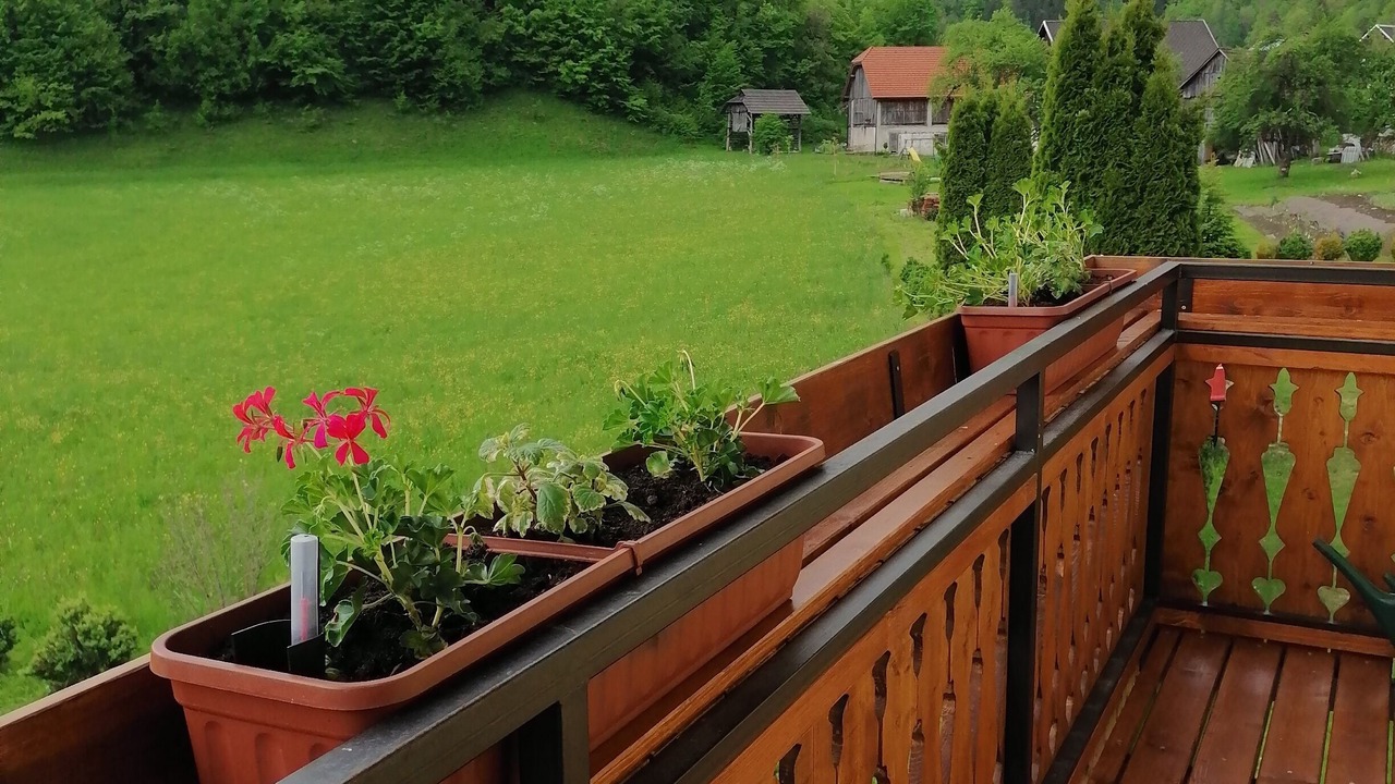 Photo of Outdoor in Nomenj