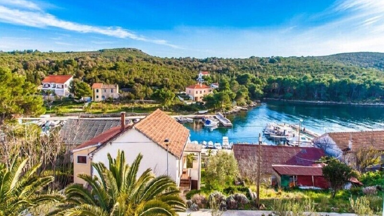 Photo of Outdoor in Molat