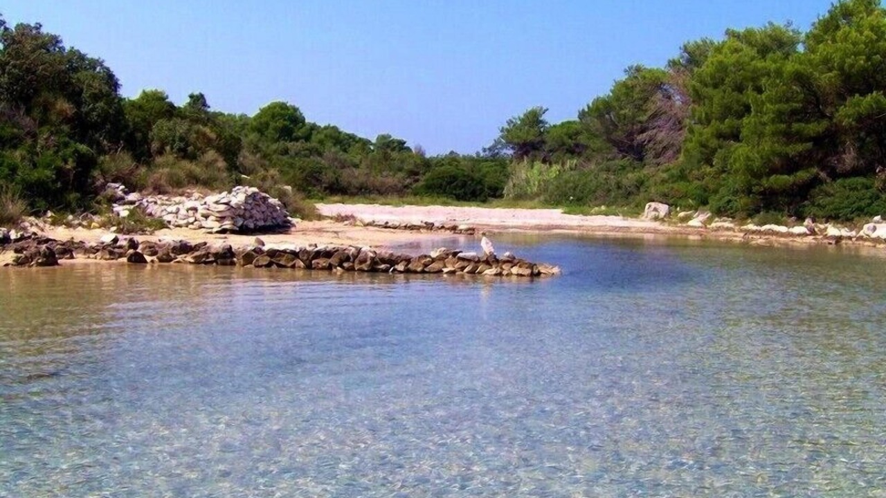 Photo of Others in Molat