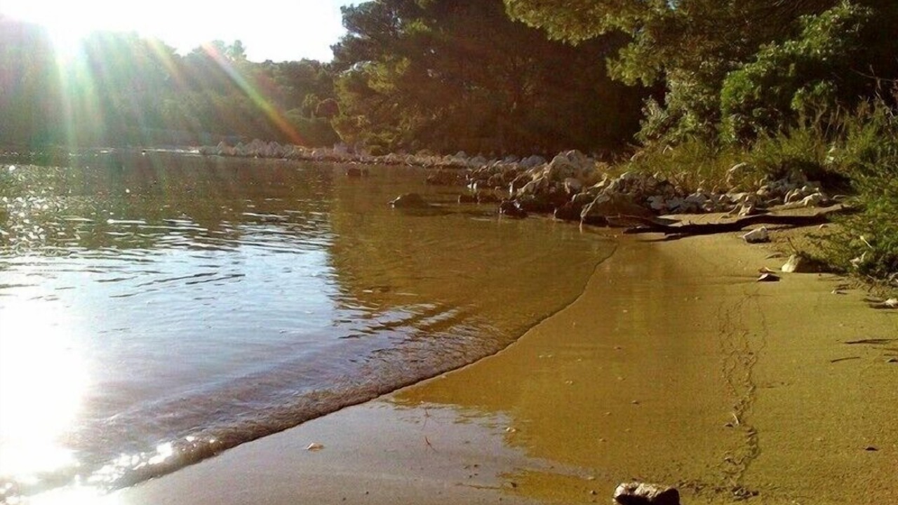 Photo of Others in Molat