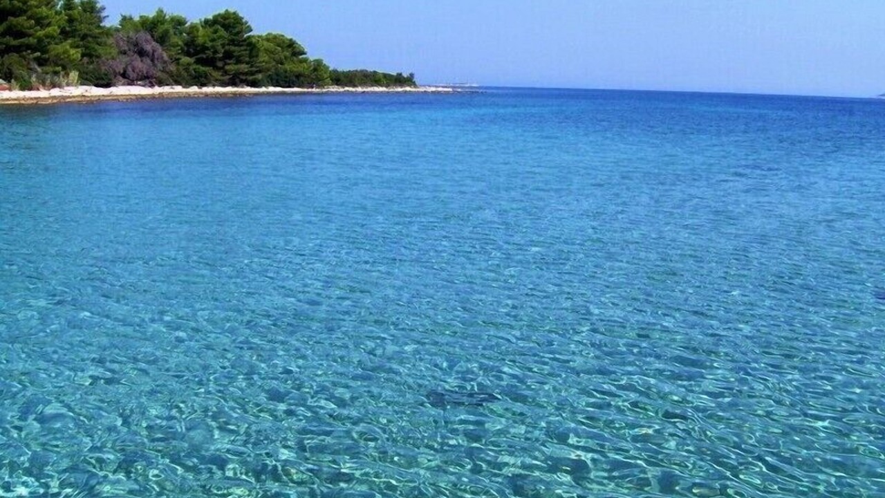 Photo of Others in Molat