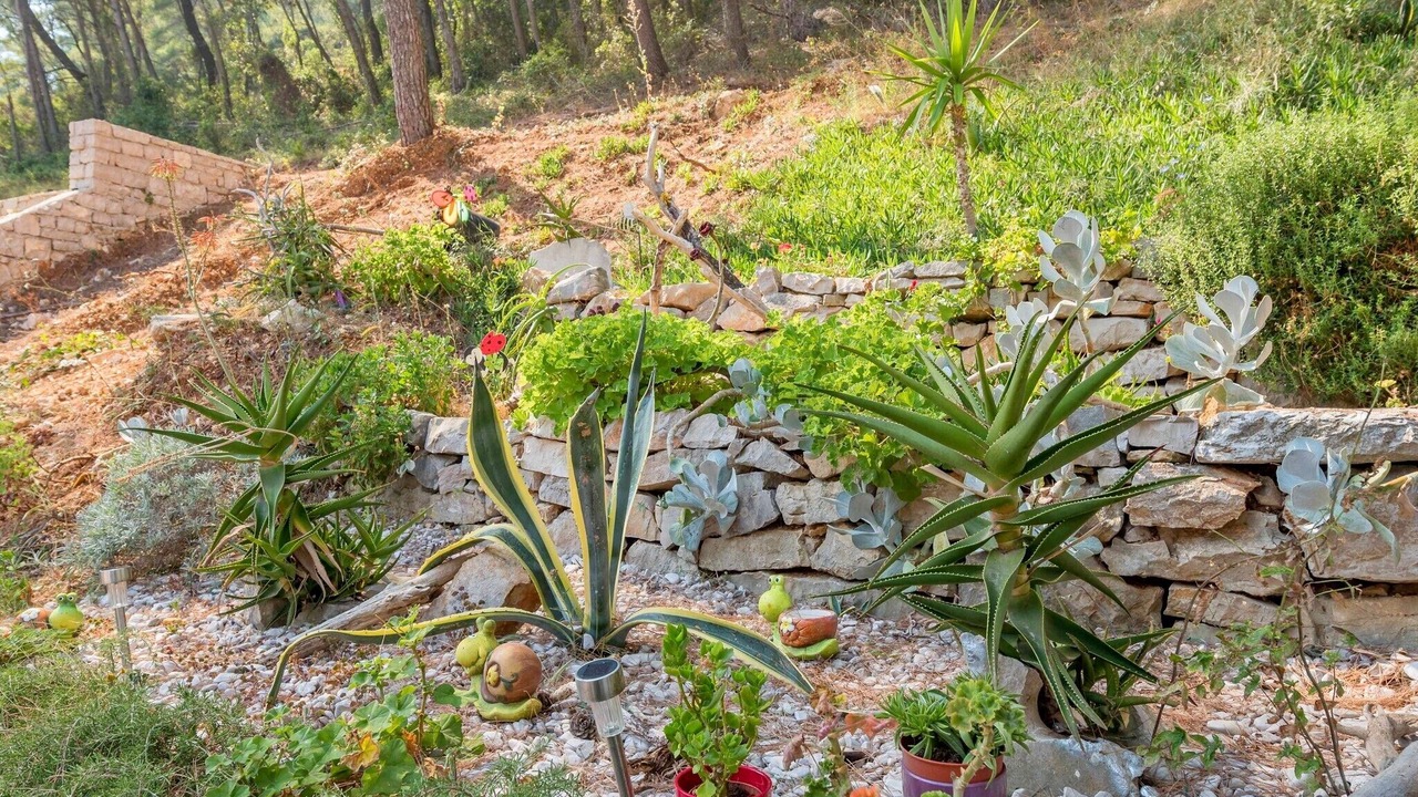 Photo of Outdoor in Zastrazisce