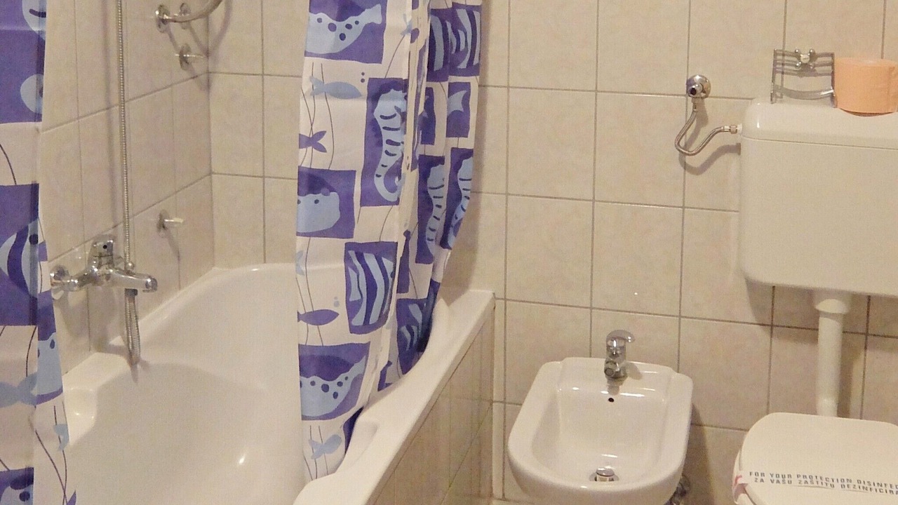 Photo of Bathroom in Rakovica