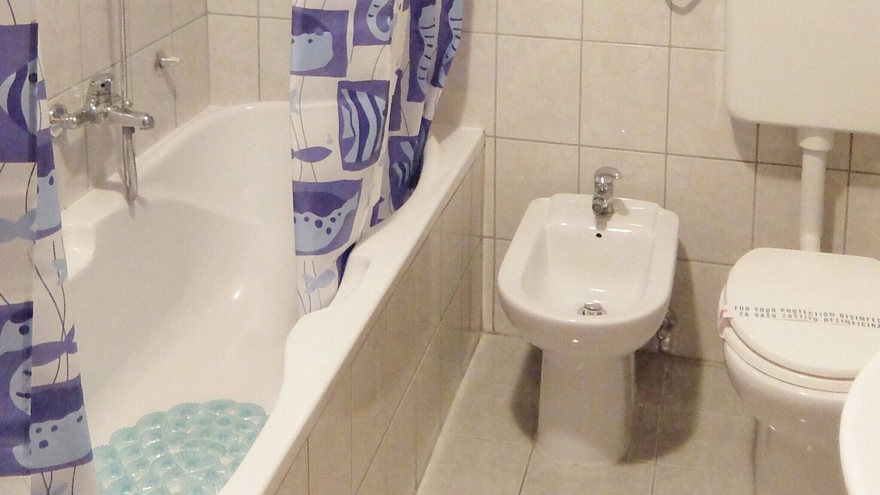 Photo of Bathroom in Rakovica